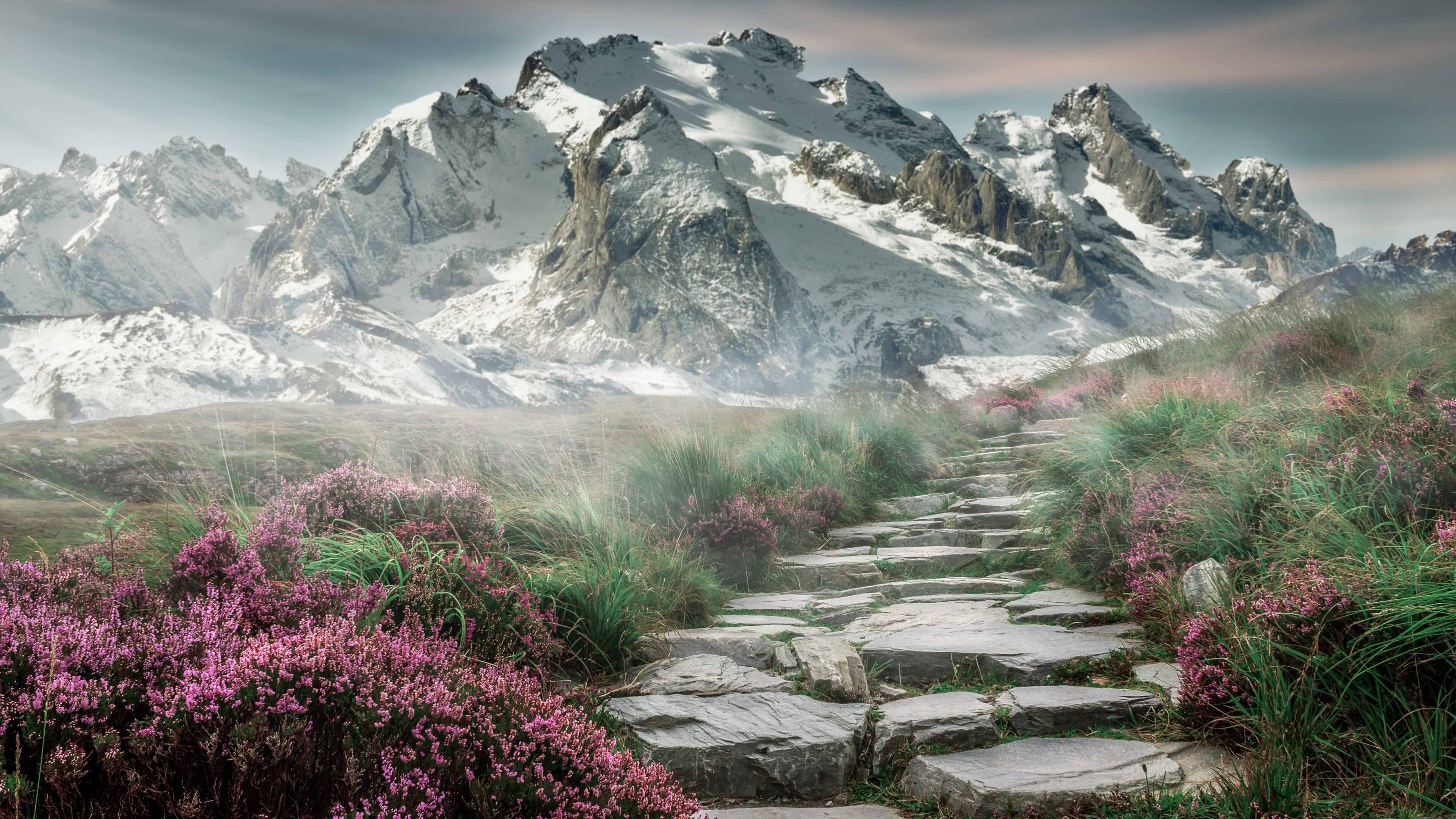 凯尔特人击退篮网塔图姆无敌,凯尔特人选中塔图姆