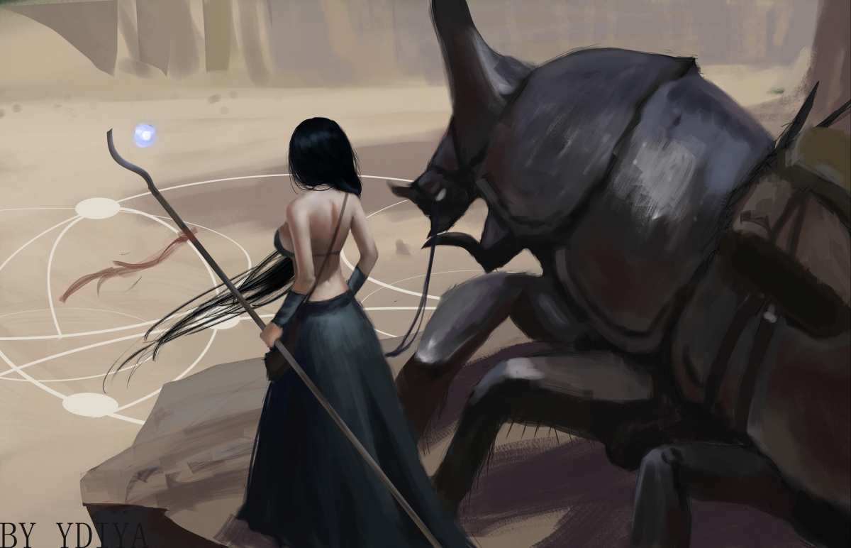 塞内加尔马术协会与国际组织合作，推广“Lamb”至全球。