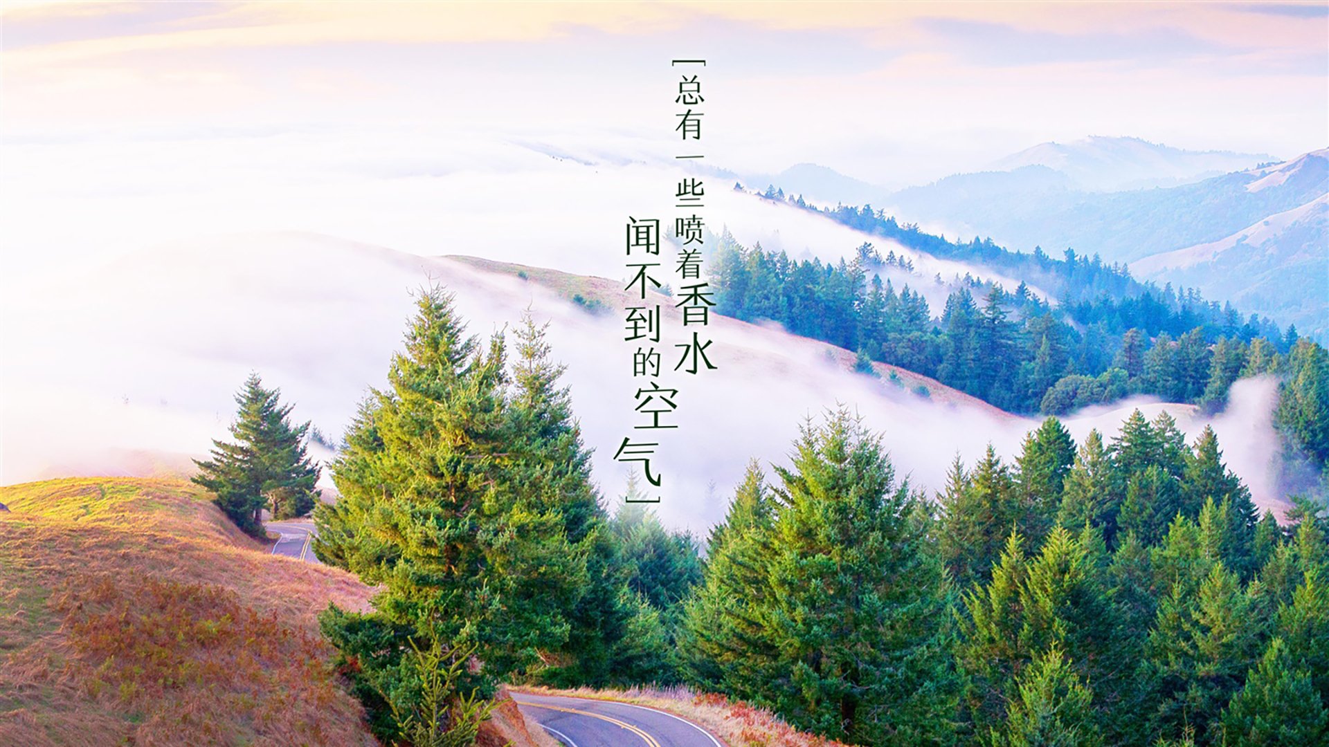 奥地利队实力不俗，战胜对手领跑小组，奥地利球队实力如何