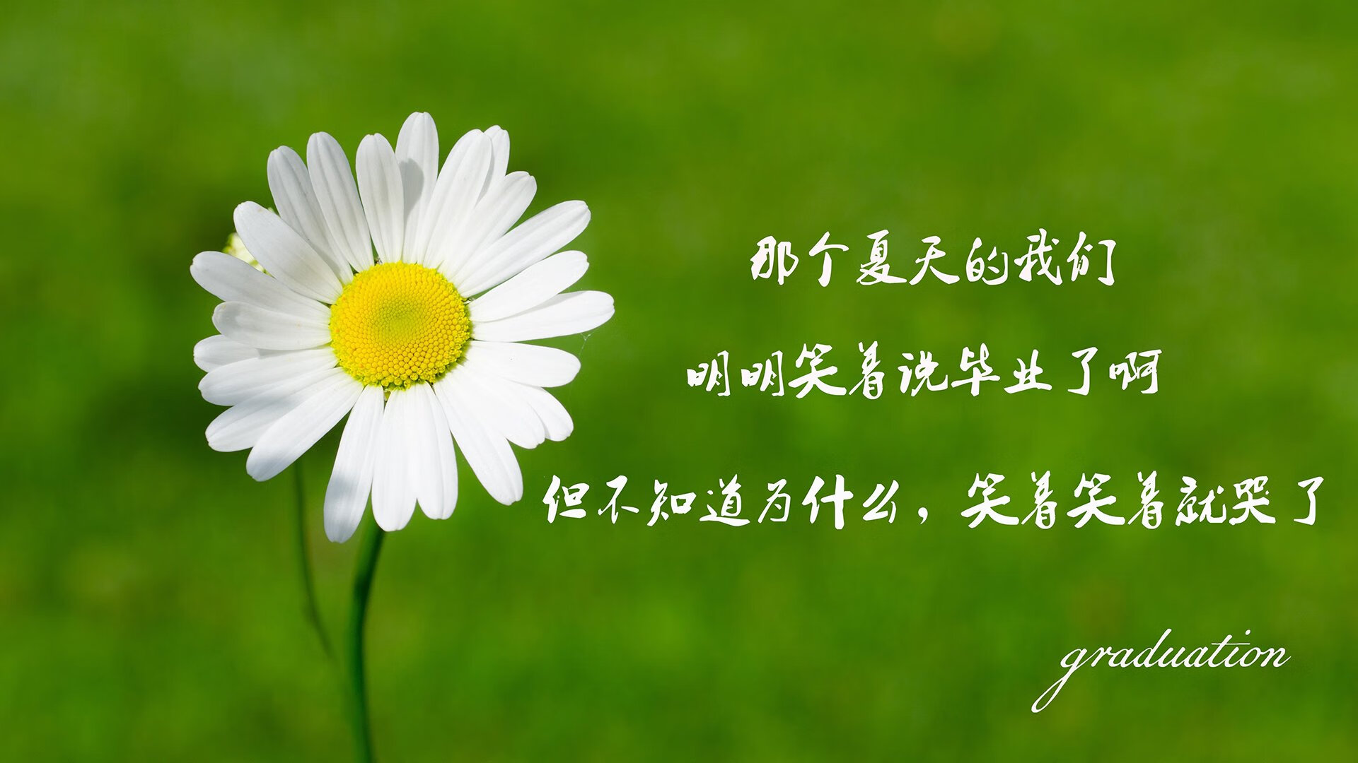 比赛中球员们发挥出色，向观众展示激烈竞争，在比赛中发挥