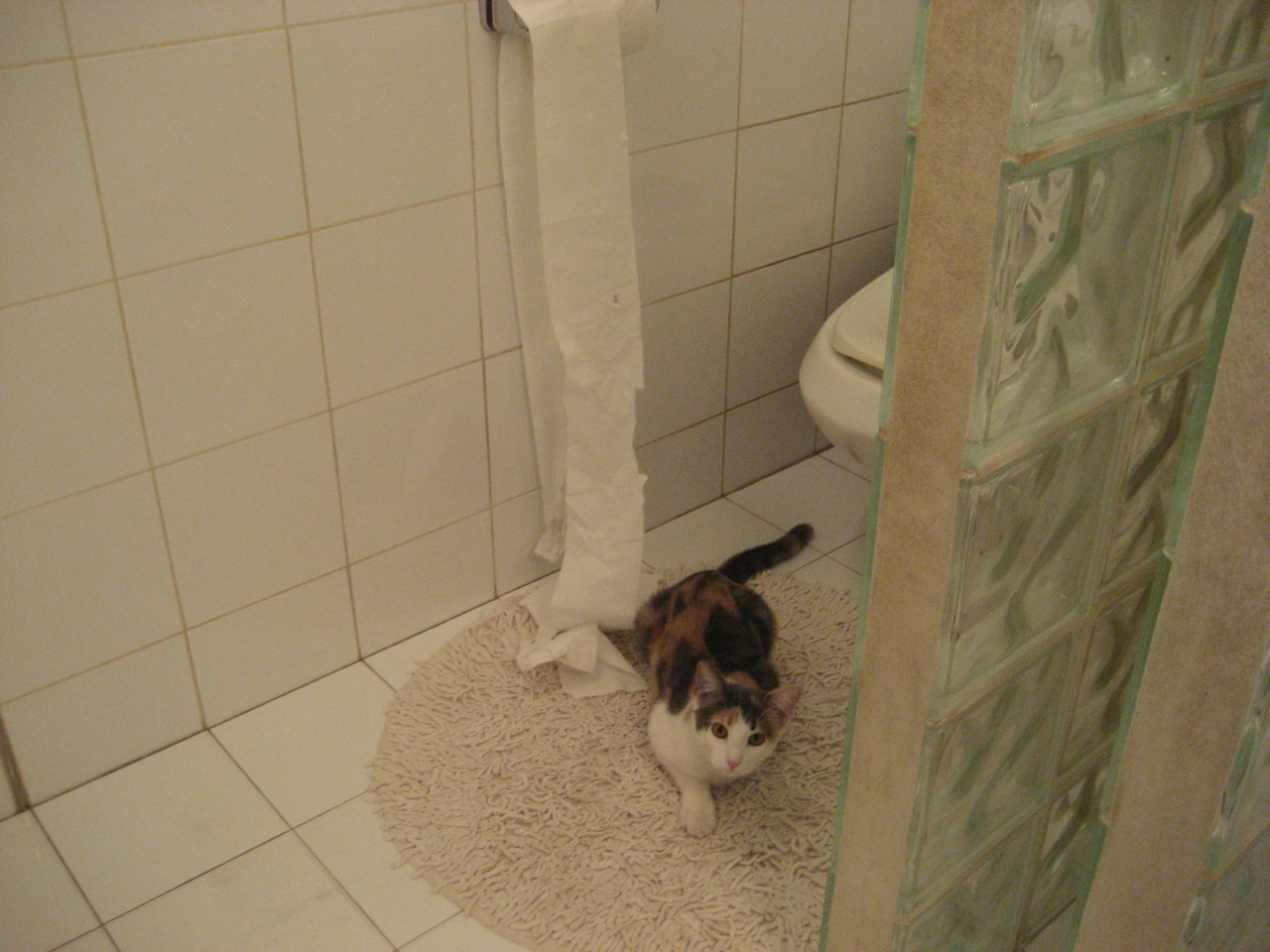 体育新闻中心构建体育融媒体人才协同培养机制，体育新媒体发展