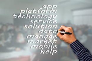 AYX官网-瑞典队未来：如何建立更具竞争力的国际品牌，瑞典队分析