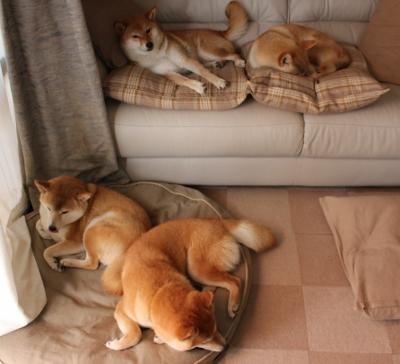 AYX SPORTS-中国足球联赛推行高标准场地绿化建设，全国足球场地设施建设规划(2016-2020年)