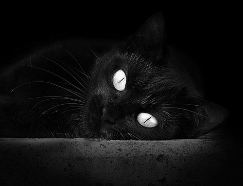 国家体育总局发布全国赛事内容版权归属建议书,体育赛事 版权