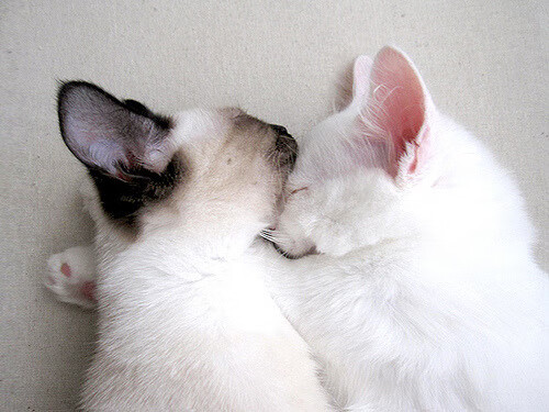 基层联赛推动体育下沉城市体育基础建设加快发展，基层体育竞赛的比赛方法