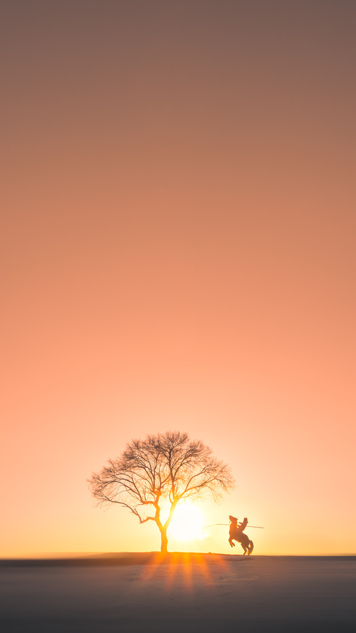 希腊女篮在欧洲锦标赛中勇夺金牌,传统强队再续辉煌,希腊男篮欧锦赛