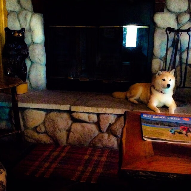 新闻中心发布北京冬奥会场馆绿色运行报告，2022冬奥会 绿色